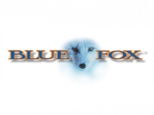Blue Fox