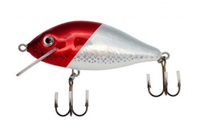 Chimera Karas 50FL