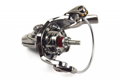 Nautilus Arta
