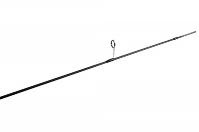 Nautilus Ant Solid