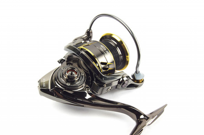 Nautilus Arta