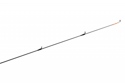 Nautilus Ant Solid
