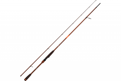 Narval Fishing Argument II